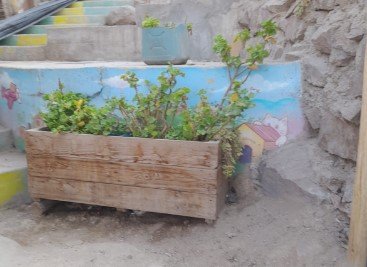Transformación cultural en las Lomas